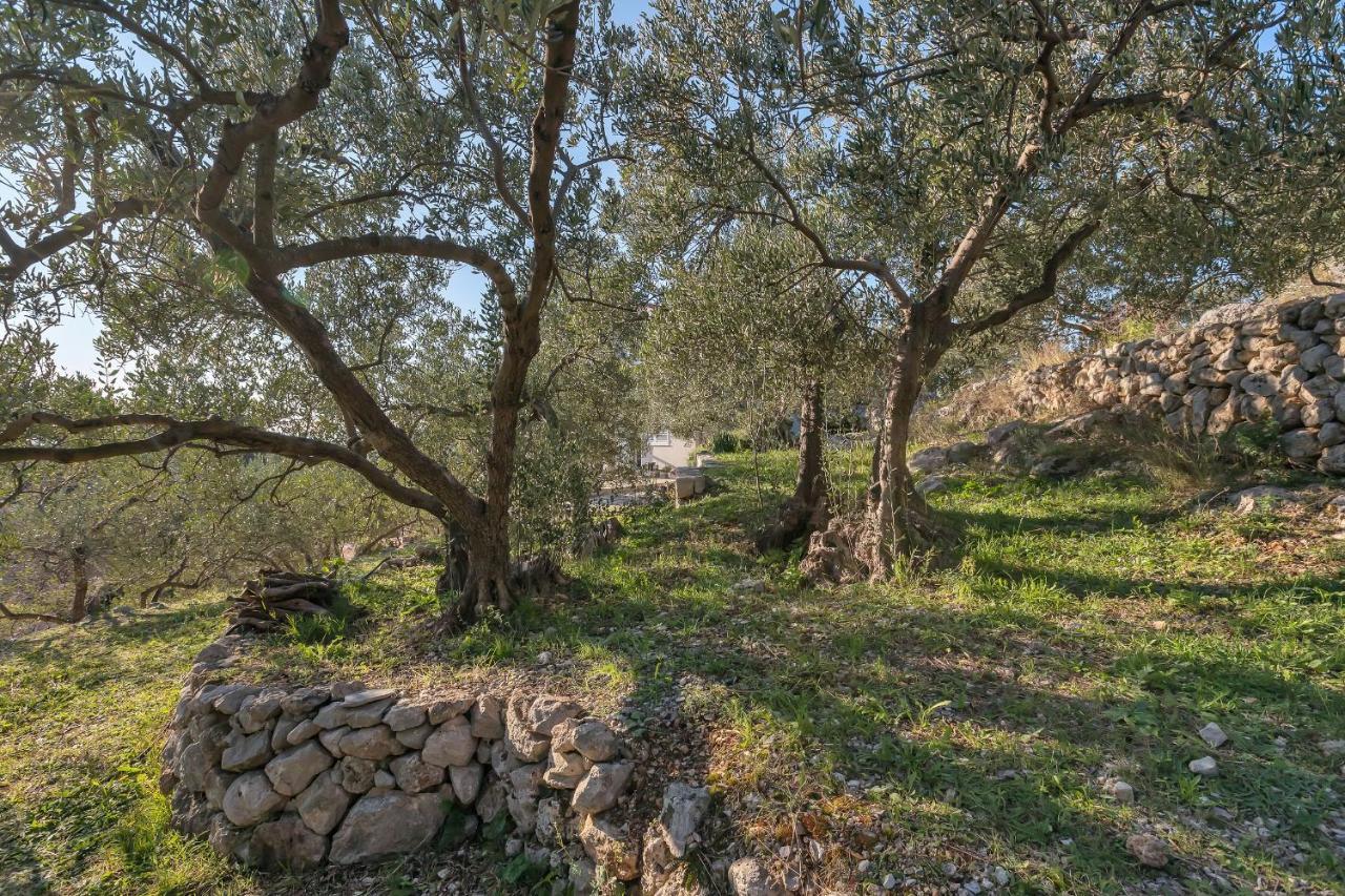 The Art Of Mediterranean Living Makarska Exterior photo